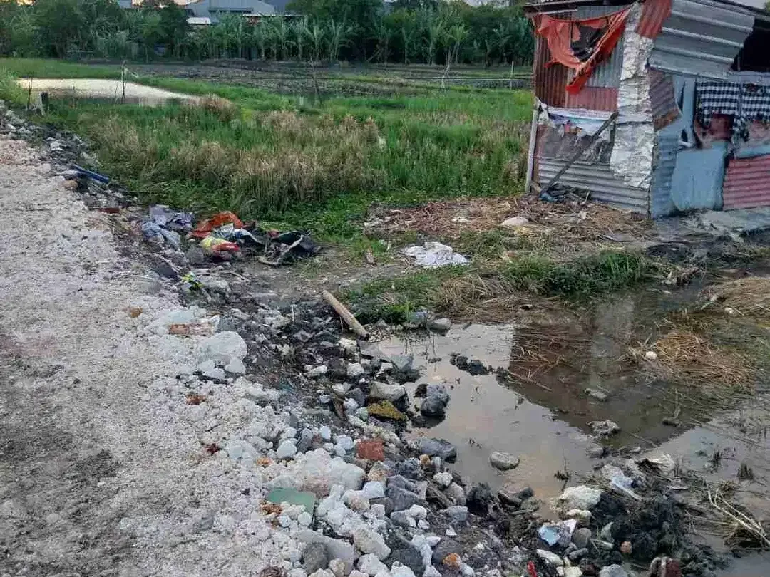 Disewakan Tanah 10a di area Jln Mahendradata Denpasar Barat Bali - Image 5 of 6