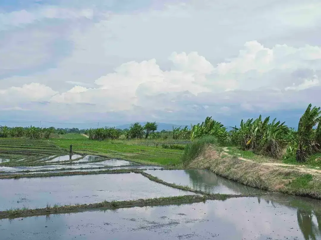 Dijual tanah view laut dekat pantai pasut di tabanan bali - Image 4 of 10