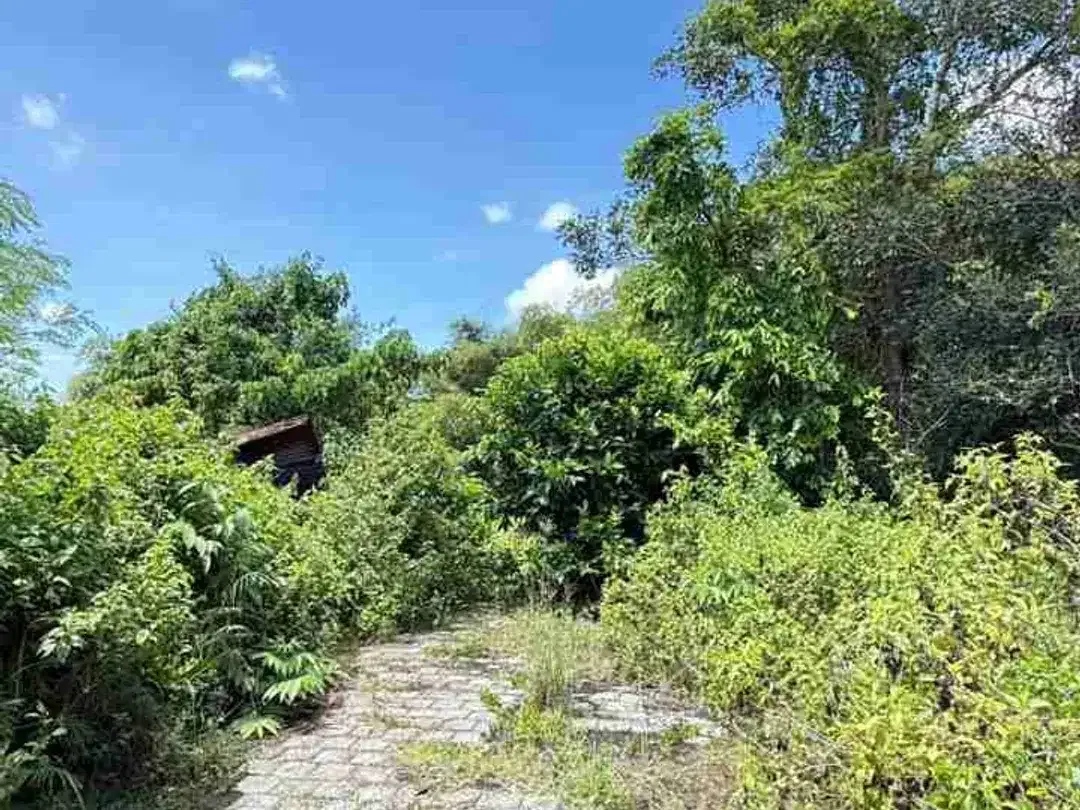 Tanah bagus sangat cocok untuk di bangun villa - Image 2 of 10