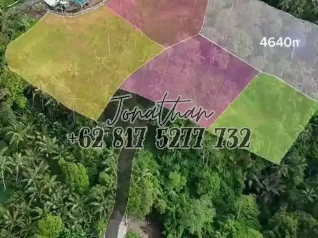 Dijual Tanah Riverside Premium Keliki Ubud Bali Dekat Capella Ubud - Image 4 of 6