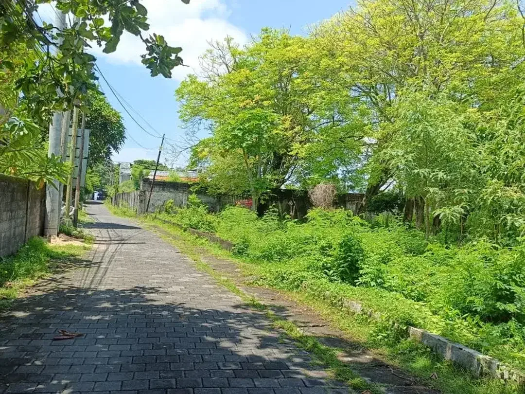 Land For Leasehold dengan Spot Langsung ke Pantai, Siap Bangun - Image 5 of 8