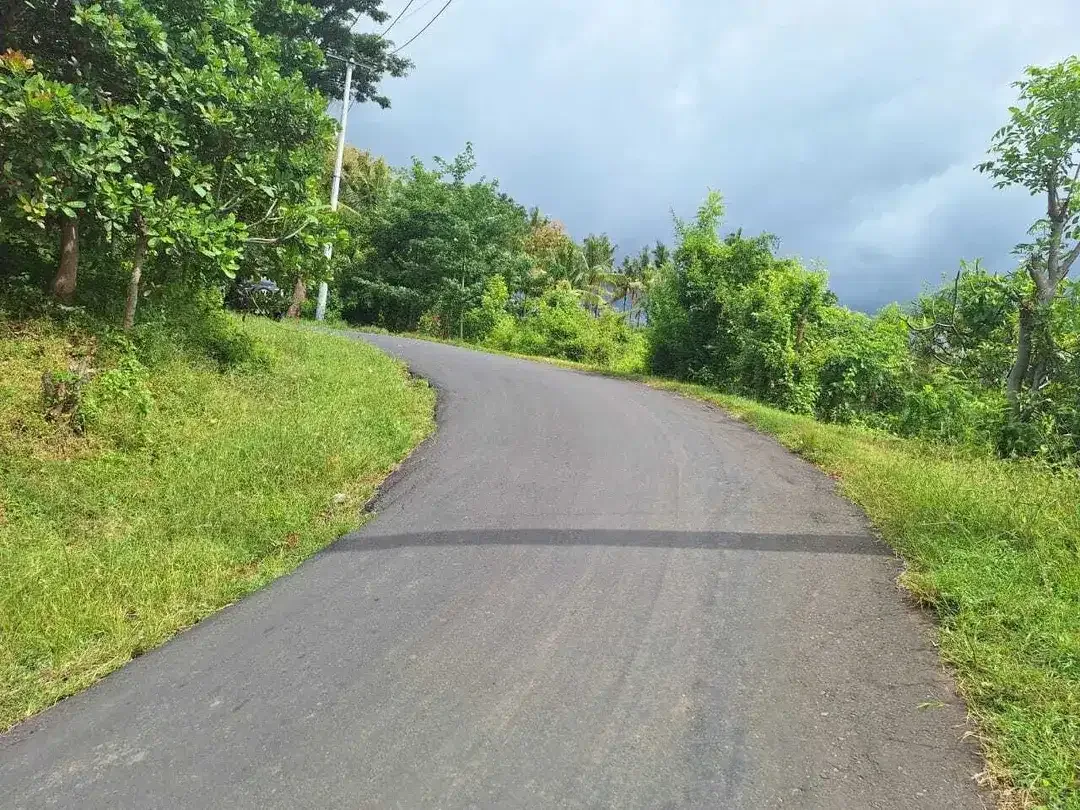 FREEHOLD LAND FOR SALE – LOVINA HILL Bali - Image 7 of 10