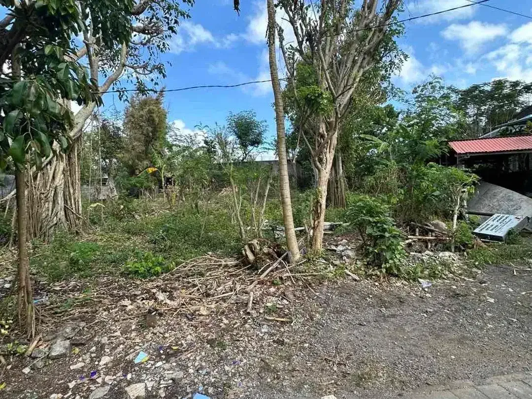 Tanah Strategis Lingkungan Villa Dekat Pantai Melasti Ungasan - Image 3 of 10