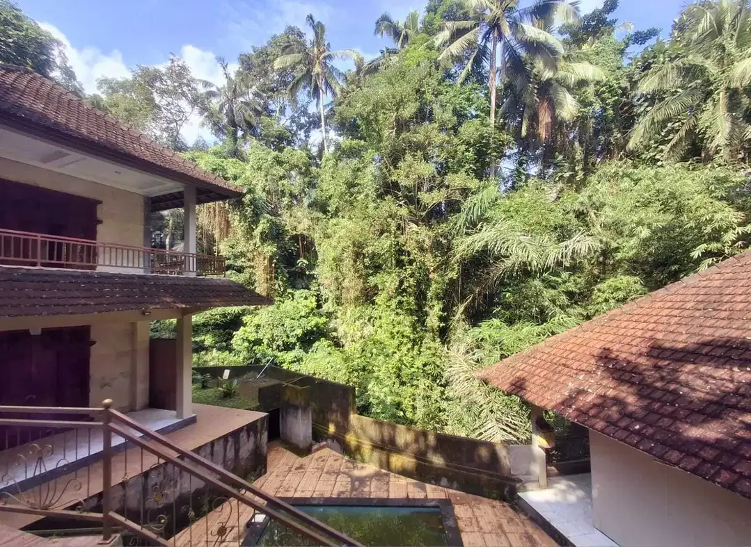 Villa Murah Los Sungai View Lembah Dekat Central Ubud di Jalan Suweta - Image 3 of 7