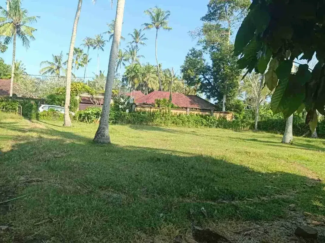 Dekat Pantai Pasut! Lahan Komersial 800m² Harga Menarik - Image 7 of 10