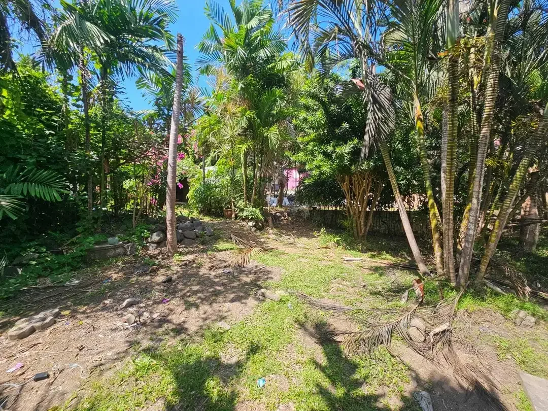 disewakan tanah premium canggu - Image 2 of 9