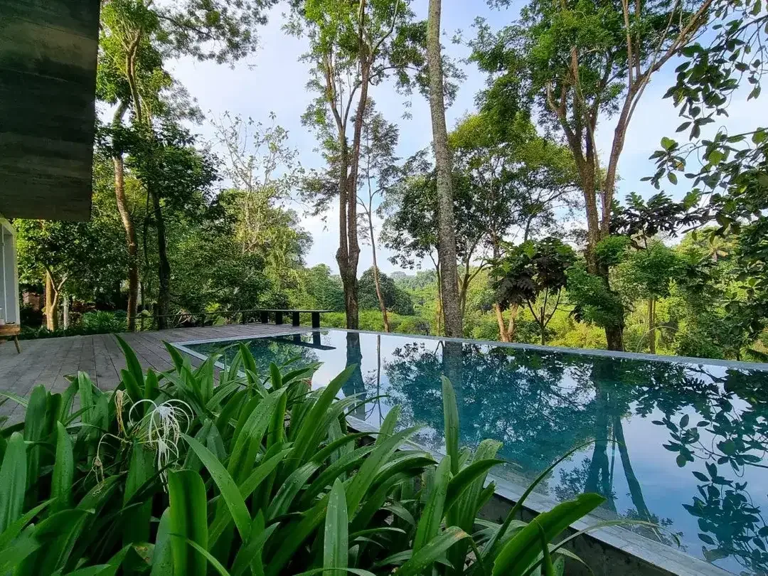 Stunning 4 Bedrooms Villa Surrounded by Nature - Image 2 of 10