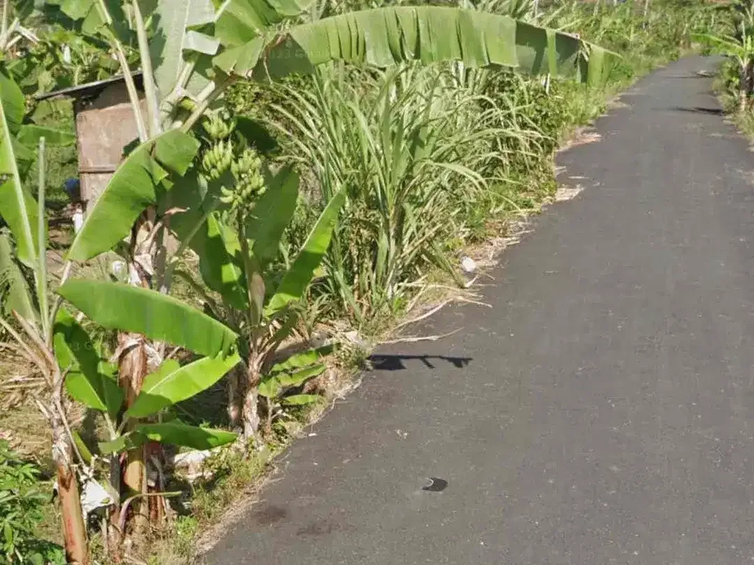 Di jual tanah kavling mulai 1 are
Lokasi di padang galak sanur bali - Image 1 of 4