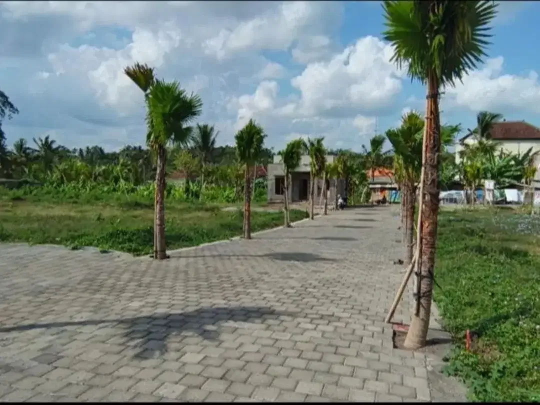 Tanah Kavling Di Jl.Rajawali Tabanan Bali - Free Biaya Surat-Surat - Image 3 of 7