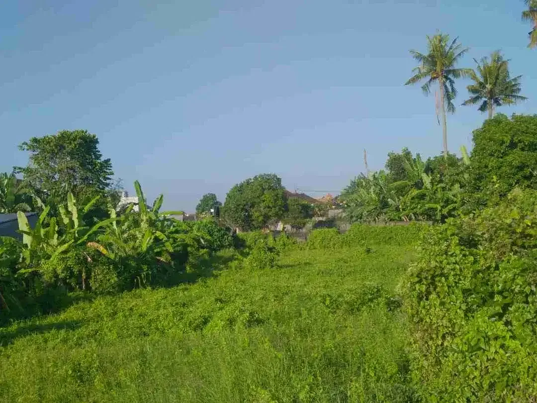 LAND FOR RENT, BUDUK, BADUNG, BALI - Image 4 of 7