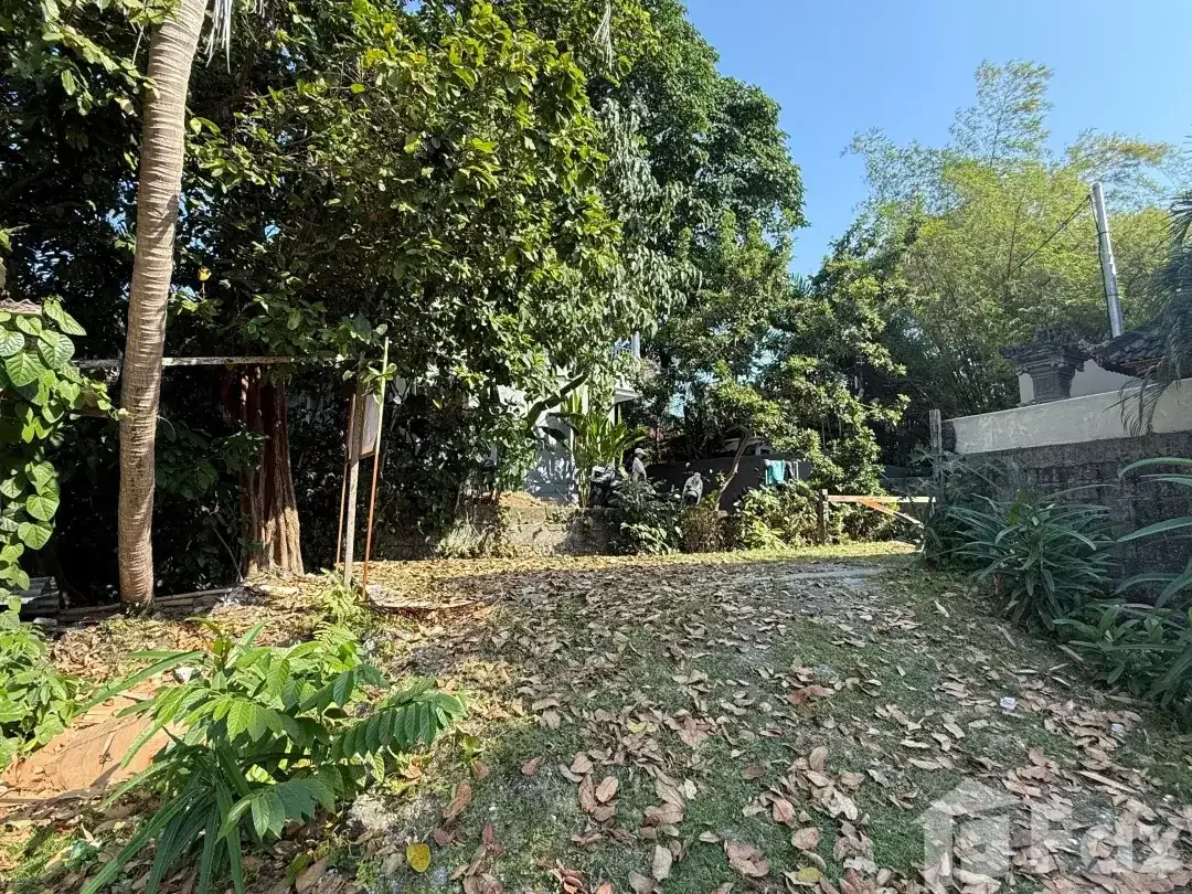 Land for sale in Pererenan, Bali - Image 5 of 7