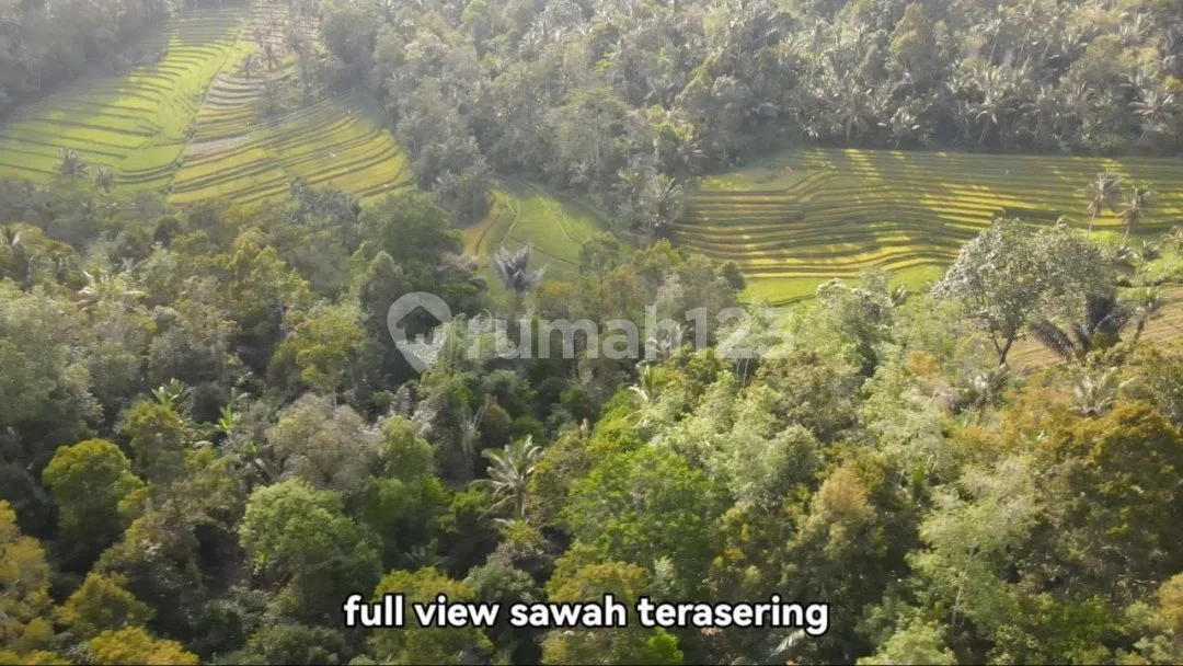 Tanah View Terasering Sawah Bonus Sumber Mata Air di Tabanan - Image 3 of 4