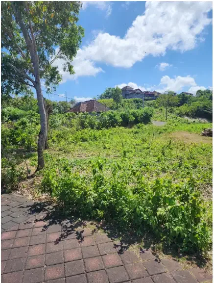 Land for lease at ungasan - Image 3 of 10