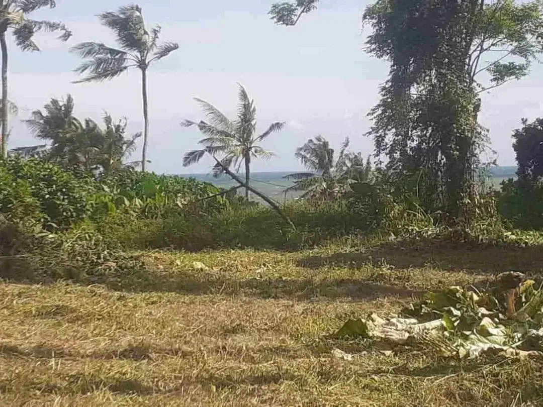 Dijual tanah langka dan murah dengan pemandangan pantai abadi di Tabanan Bali - Image 2 of 3