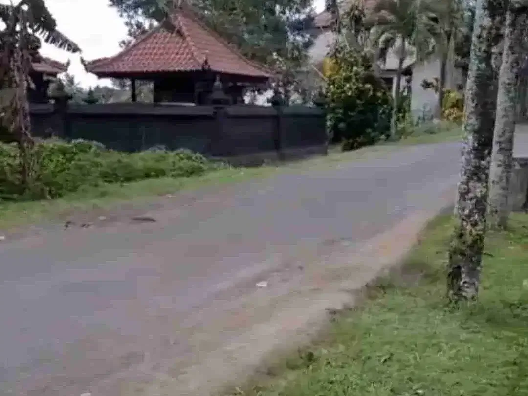 Tanah Megati Bantas Selemadeg Timur Zona Kuning - Image 2 of 8