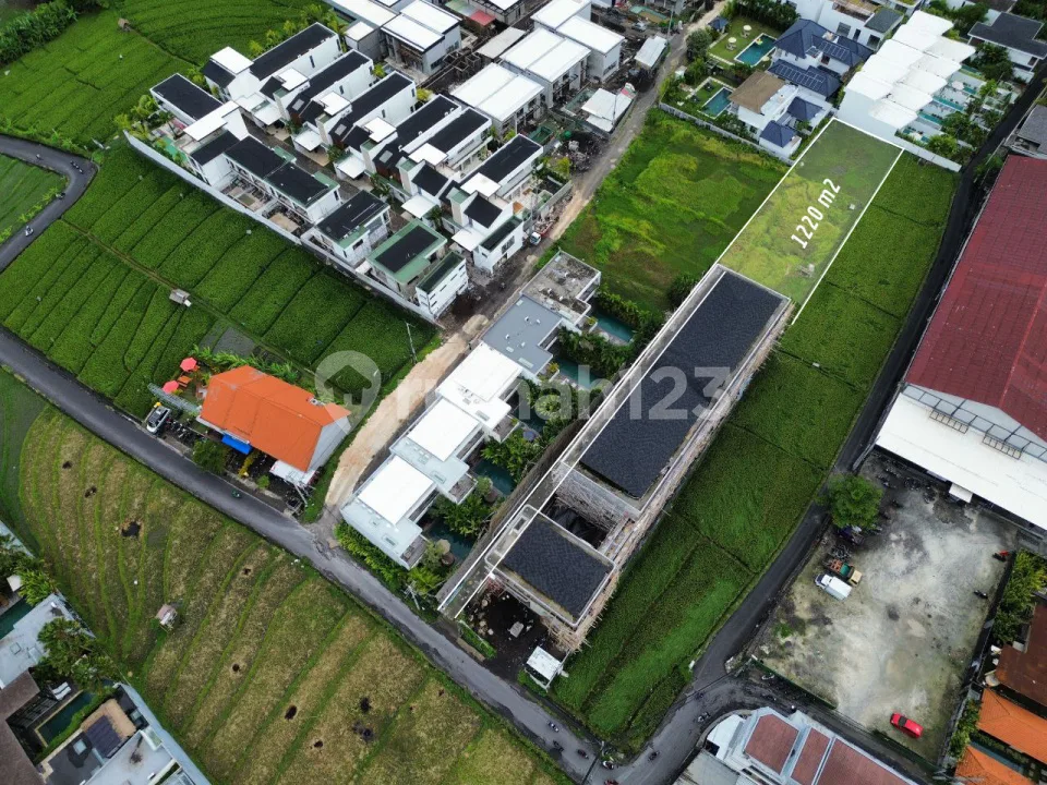 Hot Deal - Land 1220 MÂ² In Berawa Canggu - Pink Zone - Image 2 of 4