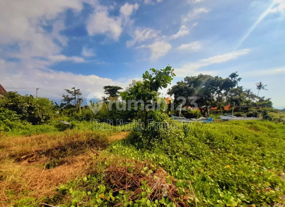 Super Premium Land For Sale In Lovina North Bali - Image 3 of 4