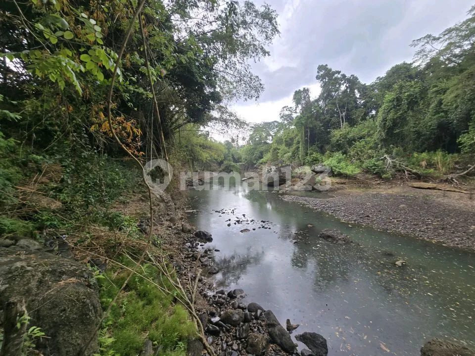 Dijual Tanah Datar Los Sungai Murah Yellow Zona di Tabanan Bali - Image 2 of 4
