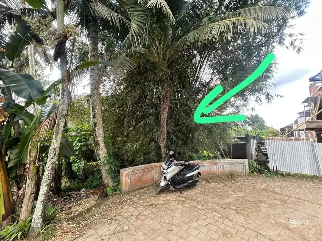 Prime Land for Sale in Kemenuh – Villa Development Opportunity Near Ubud - Image 3 of 4