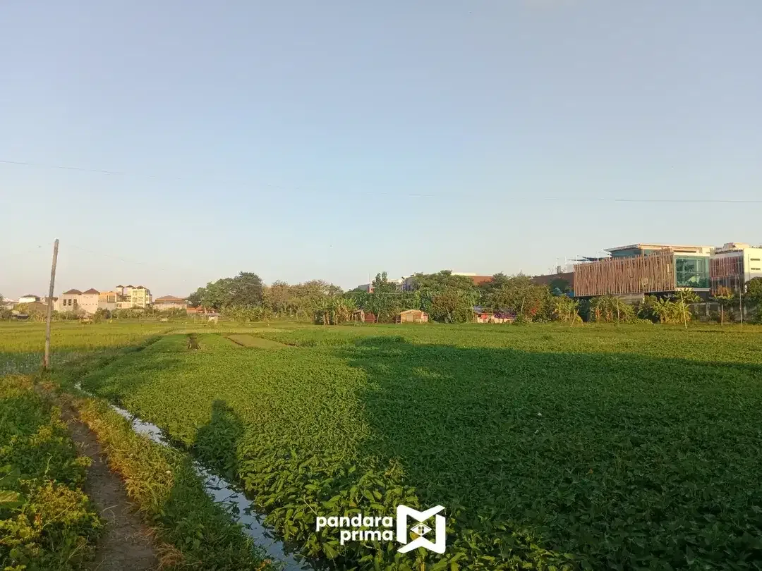 DIJUAL - TANAH KAVLING NAKULA DENPASAR BARAT - DI BELAKANG AIS IMAM BONJOL - Image 5 of 10