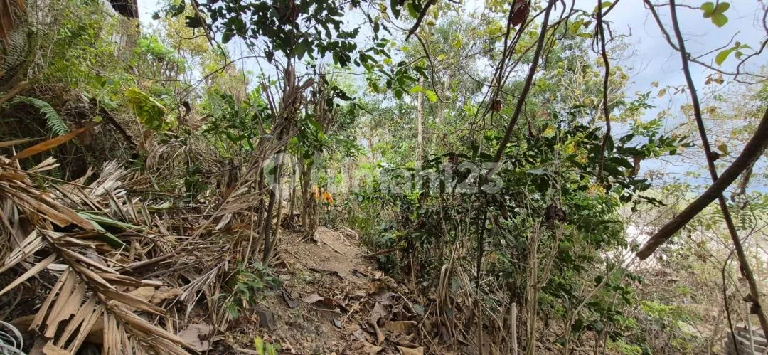 Freehold - Prime Ocean View Land For Sale In Labuan Sait, Pecatu, Uluwatu, Bali - Image 3 of 4