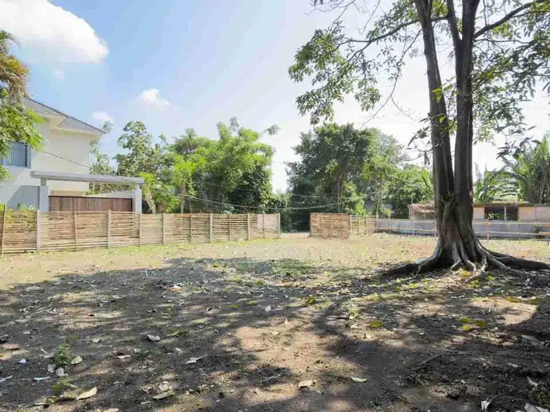 dijual tanah 6 are IDR 800 juta per are dikesiman denpasar timur - Image 4 of 6