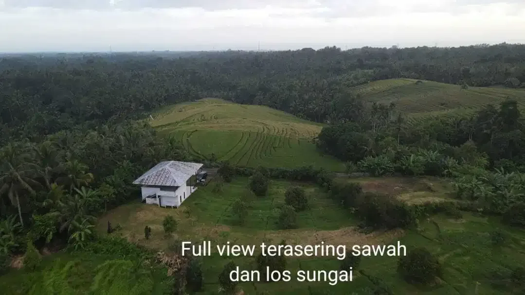 Kebun Durian View Sawah Terasering di Tabanan - Image 4 of 10