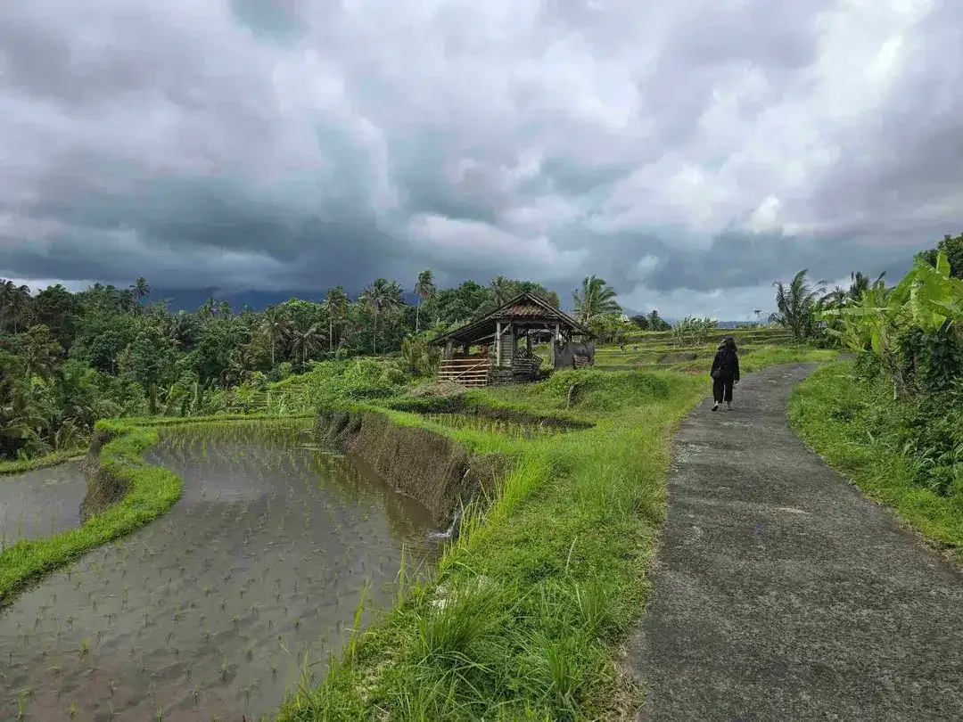 dijual tanah kebun dan sawah view cantik di penebel tabanan bali - Image 8 of 10