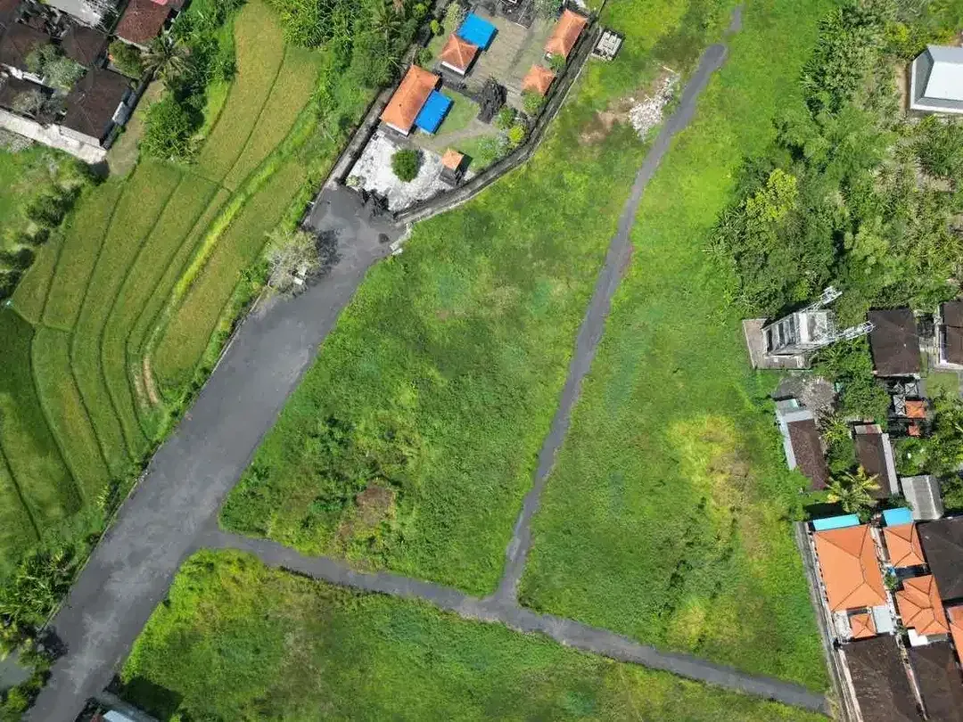 dijual tanah dekat pantai tanahlot zona pariwisata - Image 5 of 8