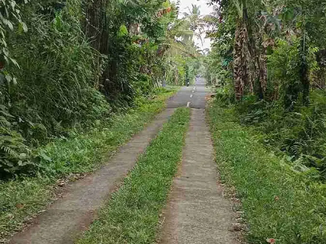 tanah cantik zona kuning di tegalalang Bali - Image 2 of 7