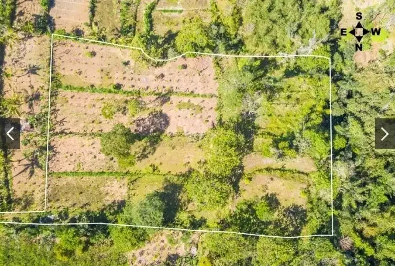 Dijual Tanah Payangan Kerta Untuk Retreat atau Kebun Organik - Image 6 of 7