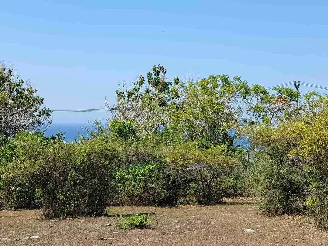 DIJUAL TANAH PREMIUM UNBLOCK VIEW, NUSA DUA - Image 8 of 10