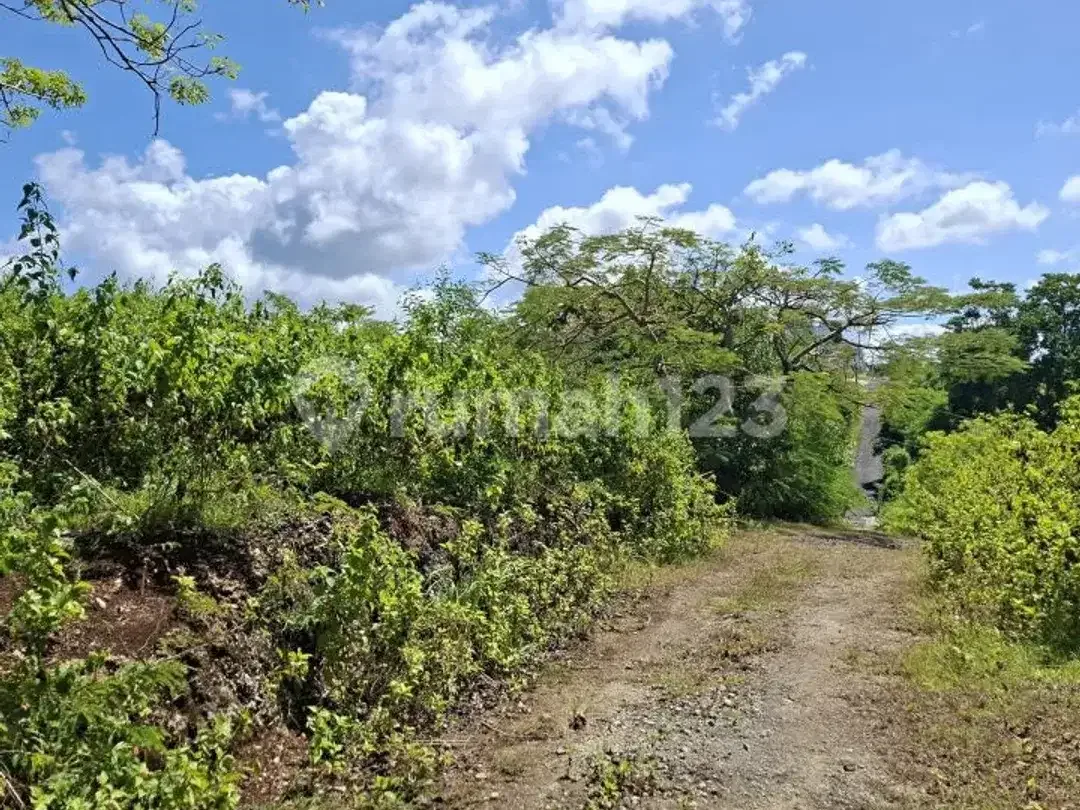 Land For Lease For A Villa Complex On Jl. Melang Kaja, Kutuh - Image 3 of 5