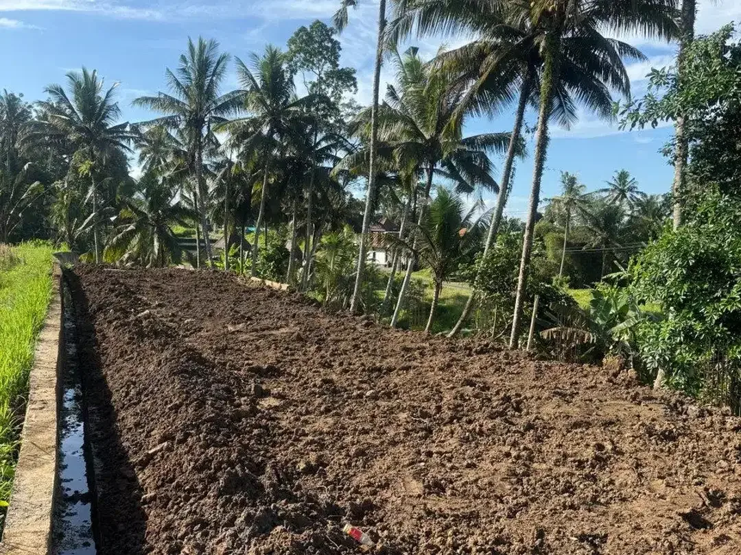 Prime Investment Land - 27 Are Leasehold Plot in Pejeng, Ubud - Secure Your Piece of Bali's Land - Image 5 of 10