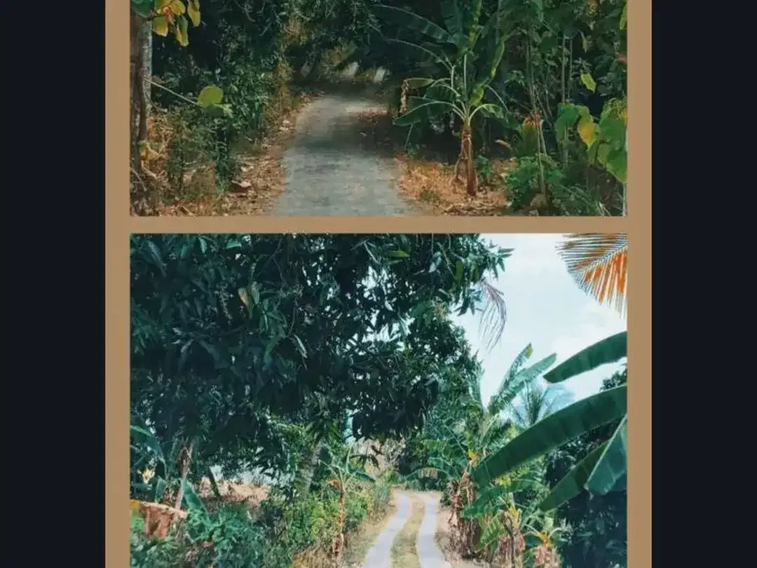 LAND FOR SALE ON A HILLTOP WITH OCEAN VIEW Lovina, Bali - Image 2 of 7