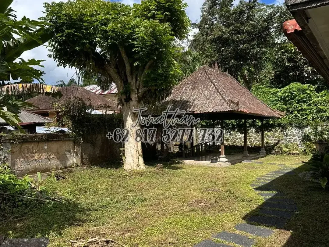 Dijual Villa 1 Lantai SHM 3 Kamar View Alam Sejuk di Baturiti Bedugul Tabanan Bali - Image 2 of 10