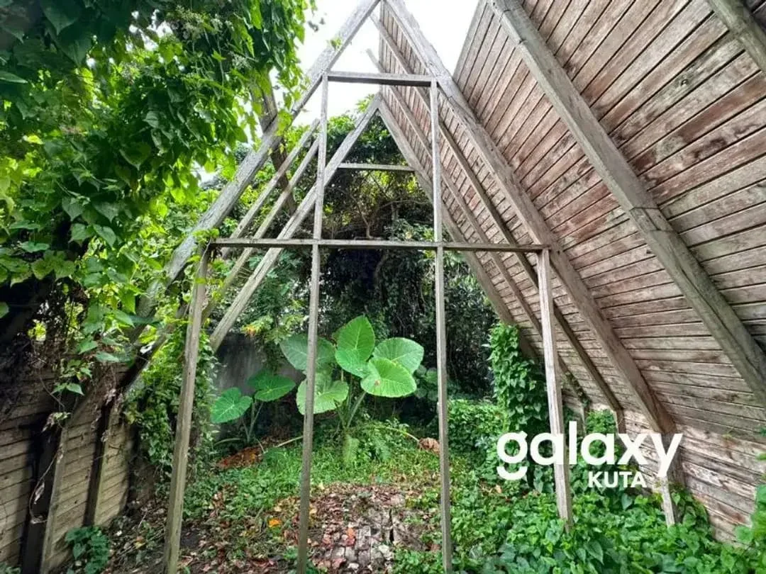 DIJUAL TANAH JUNGLE VIEW DEKAT RS SANJIWANI DI BITERA GIANYAR - Image 5 of 10