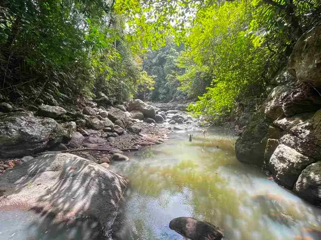 jual tanah kebun view sungai eksotik dan view junggle yang asri di tabanan bali. - Image 4 of 10