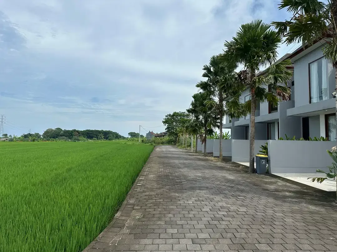 15 Menitan Canggu TANAH PANTAI KEDUNGU LINGKUNGAN VILLA VIEW SAWAH - Image 3 of 10