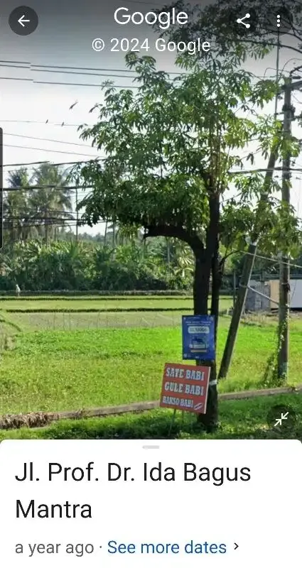 Dijual Tnh 34a di pinggir Jln Bay Pas IB Mantra Lebih Gianyar Bali - Image 6 of 10