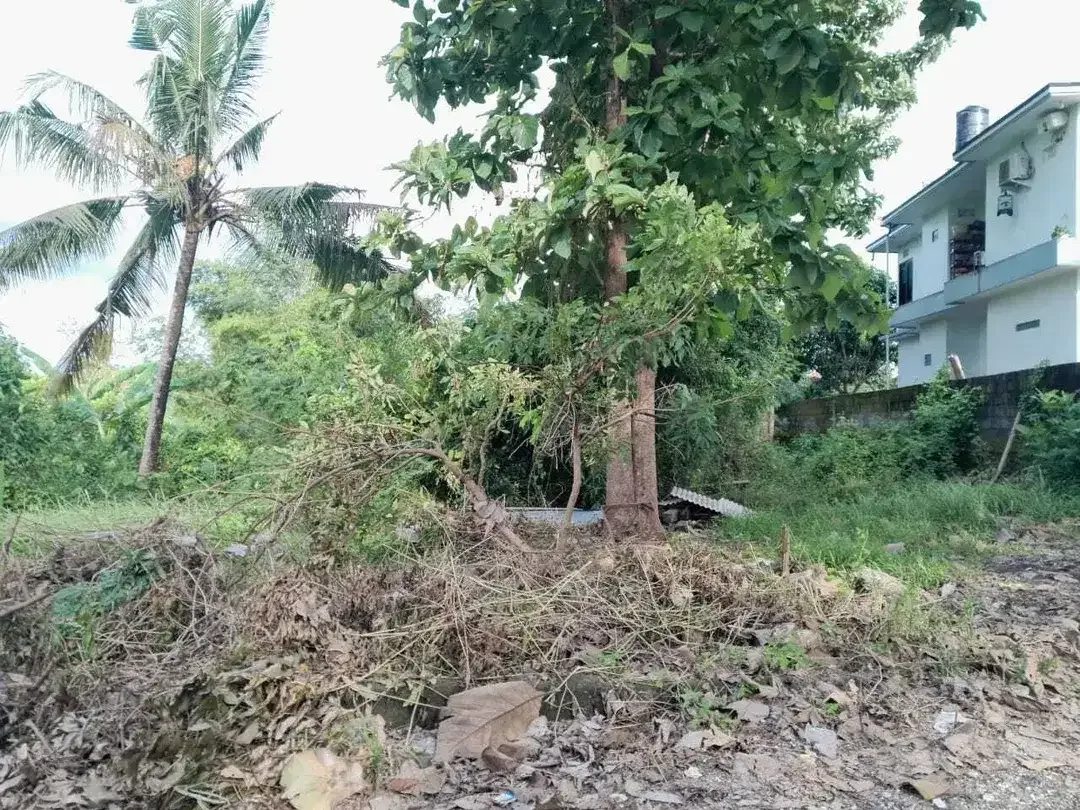 Prime land of 650 sqm amidst rice fields for sale in Cepaka, Tabanan - Image 6 of 9