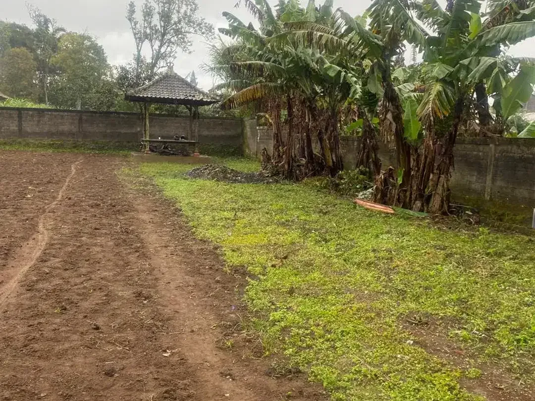 TANAH KAVLING DIJUAL – PANCASARI, BEDUGUL - Image 3 of 5