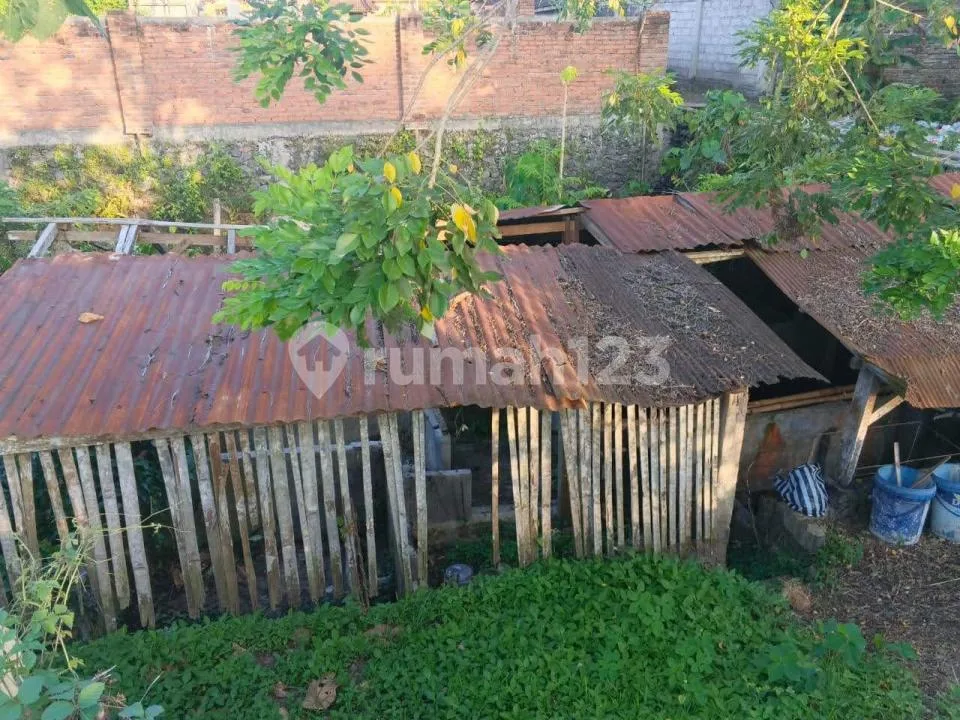 Tanah Luas Strategis Zona Kuning Tabanan Bali - Image 2 of 4