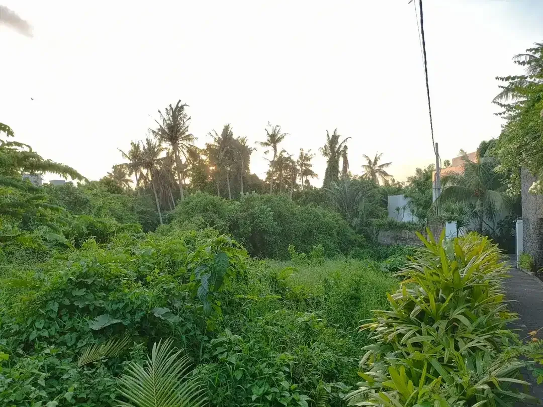 Dijual tanah di jalan utama pantai pererenan canggu. - Image 1 of 10