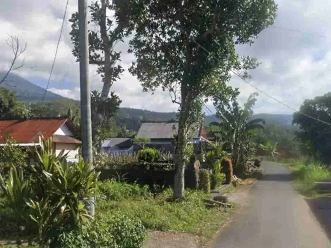 Tanah Kebun di Baturiti Bali Dekat Village Above The Clouds - Image 4 of 4