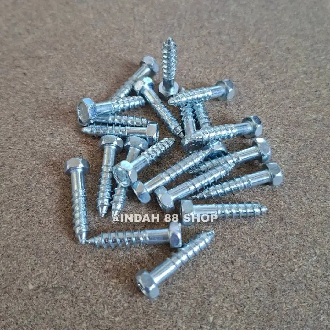 ISI 10pcs - Deskrup / Lag Screws Galvanis / Baut Sekrup Fisher - Image 1 of 2
