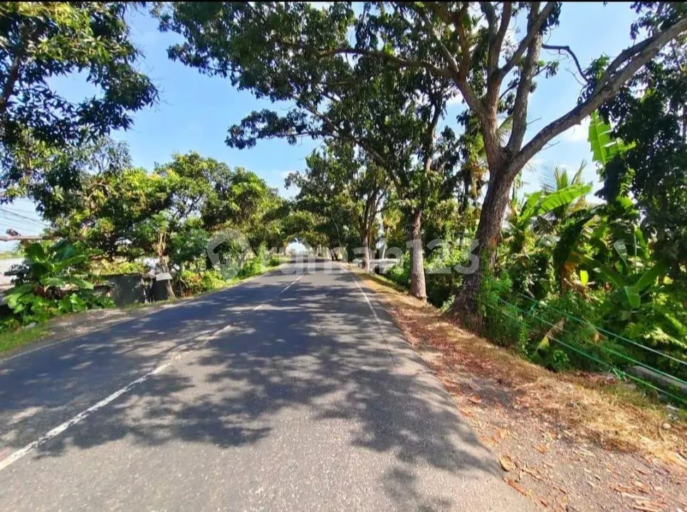 Rare Commercial Land On The Main Denpasar-Gilimanuk, Tabanan Bali - Image 4 of 4
