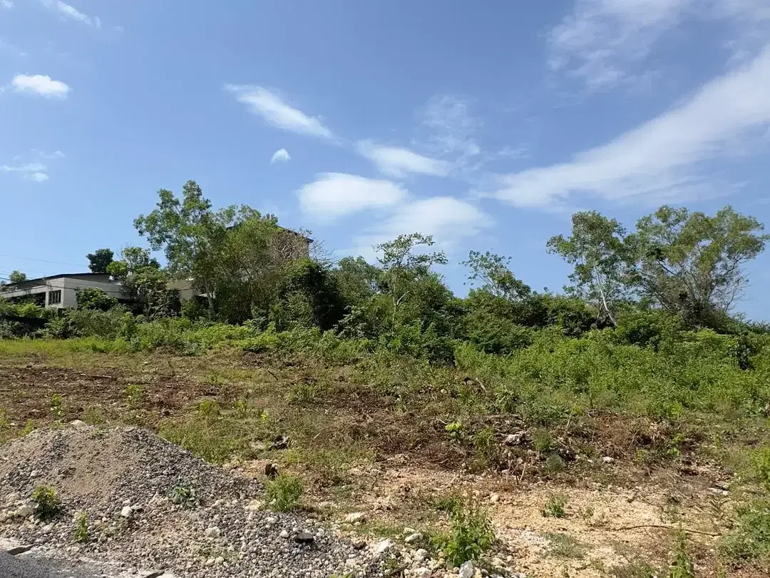 Dijual Tanah 250m2 Jungle View Zona Pariwisata Nusa Dua Bali - Image 6 of 10