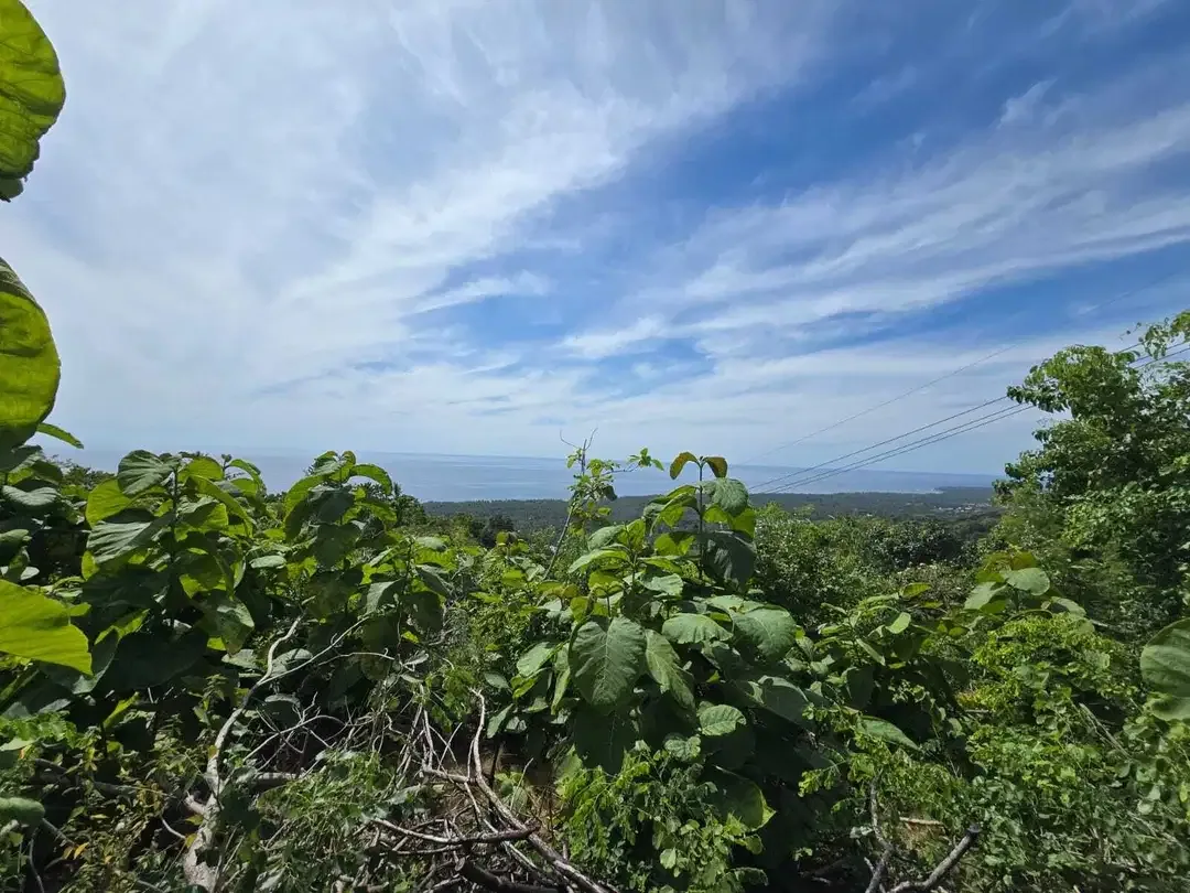 Dijual tanah view laut dekat rencana bali utara - Image 5 of 10
