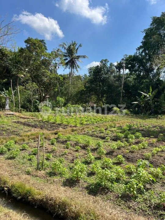 Jual Tanah 5 Menit Dari Bali Glamping Beach - Image 1 of 4